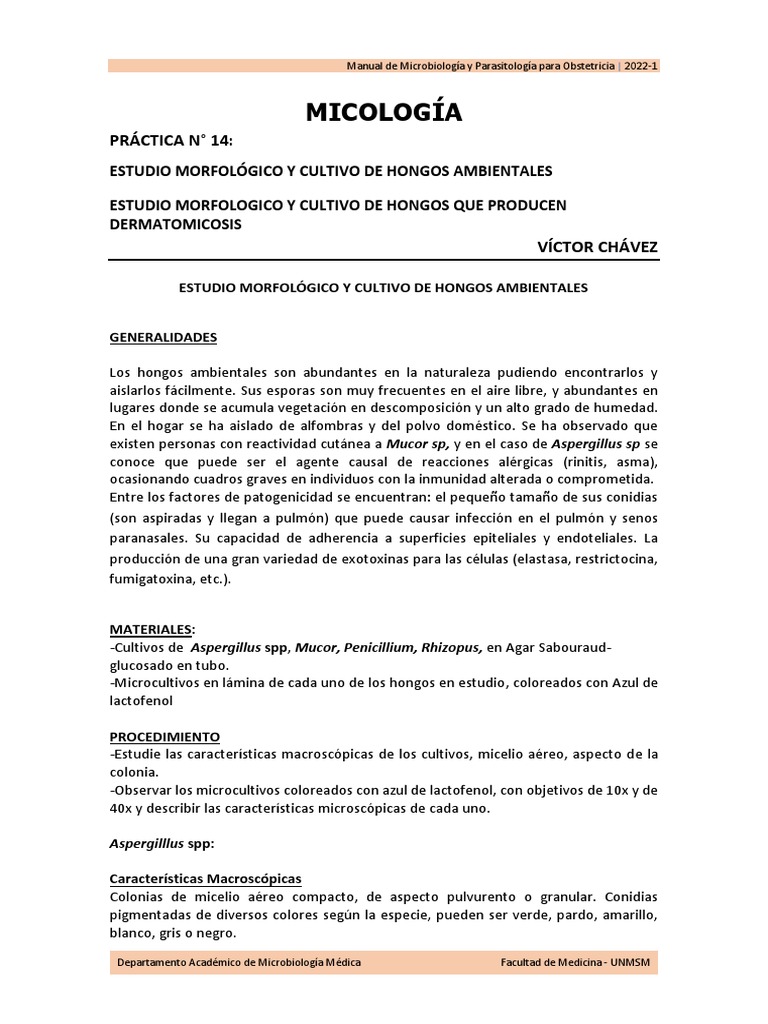 Práct 14 DR Chavez Micología Obstetricia | PDF | Microbiología ...
