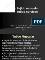 Clase 4 - Tejidos Muscular y Nervioso
