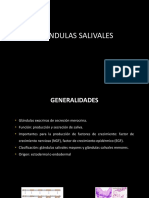 Clase Glandulas Salivales