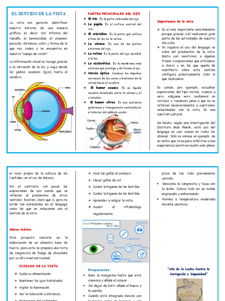 Triptico Del Sentido de La Vista PDF Ojo humano Percepción visual