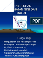 Materi Gigi