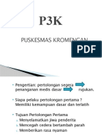 P3K 1