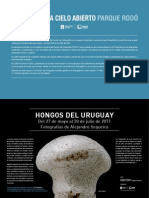 Exposición fotográfica de hongos del Uruguay en el Centro de Fotografía de Montevideo