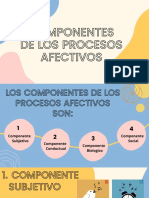 Componentes de Los Procesos Afectivos