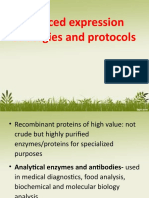 Induced expression strategies and protocols for recombinant proteins