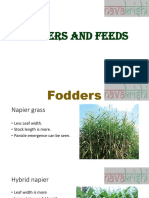 Fodders and Feeds, Instruments and Structures