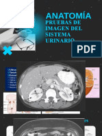 Radiología Del Sistema Urinario