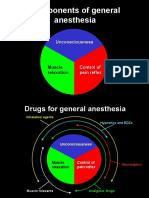 Components of General Anesthesia: Unconsciousness