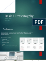 Basic Ultrasonogphy: Berryl Aufia 4151211501