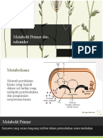 Metabolit Primer Dan Sekunder - Riski Yansah - 201951174 - Fitokimia II