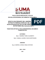 Efecto Cicatrizante Del Ungüento A Base de