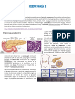 Fisiopatología II (Clases Teoricas) P3