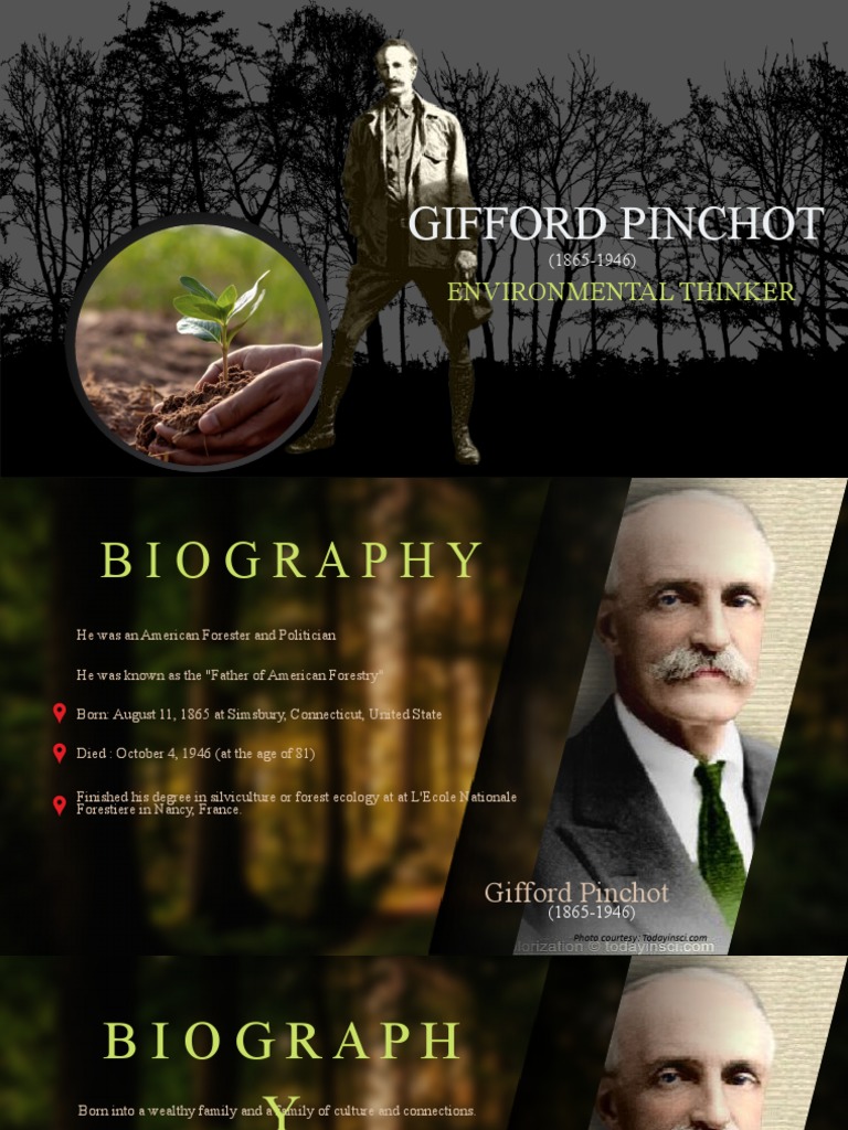Gifford Pinchot Environmental Thinker PDF Conservation Movement