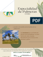 Especialidad Palmeras