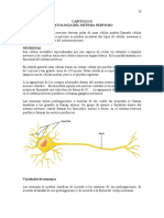 Capítulo 2 - Histología Del Sistema Nervioso