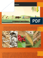 HistÃ³ria da Agricultura revisado 2