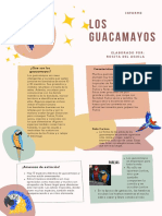 Informe Sobre Los Guacamayos