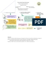 Fundamento Conceptual 7