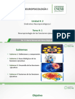 Síndromes Neuropsicológicos