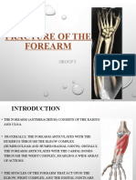Fracture of The Forearm
