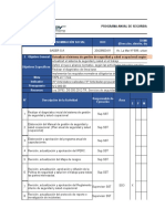 Programa Anual de Seguridad y Salud en El Trabajo - 2019