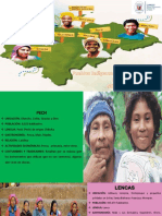 Pueblos Indigenas y Afrohondureños