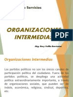 Organizaciones Intermedias Resumen