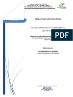 Metodologico Proceso Intervencion 2017