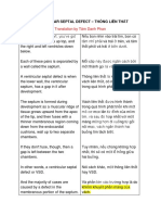 Eng-Vie-Ventricular Septal Defect