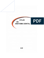 Atlas de Anatomia Dental