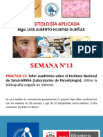 Practica 13 - Parasitol. Aplicada