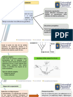 Especiación, Glaciación Y Transgenesis Especiación: Aislamiento Reproductivo