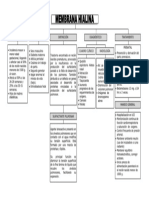 Mapa Conceptual Membrana Hialina