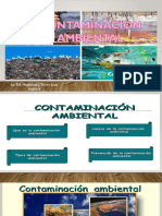 Contaminacion ambiental