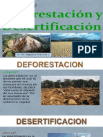 Deforestacion y reforestacion