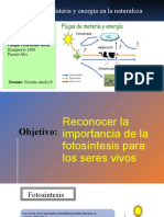 6° Básico Unidad N°2 Materia y Energía en La Naturaleza