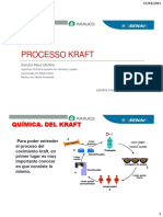 4 - Processo Kraft