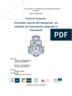 Tesis Informe Proyecto Integrador Alcaide-Romano