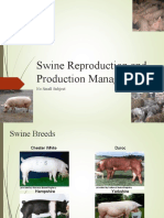Swine Reproduction and Production Management: No Small Subject