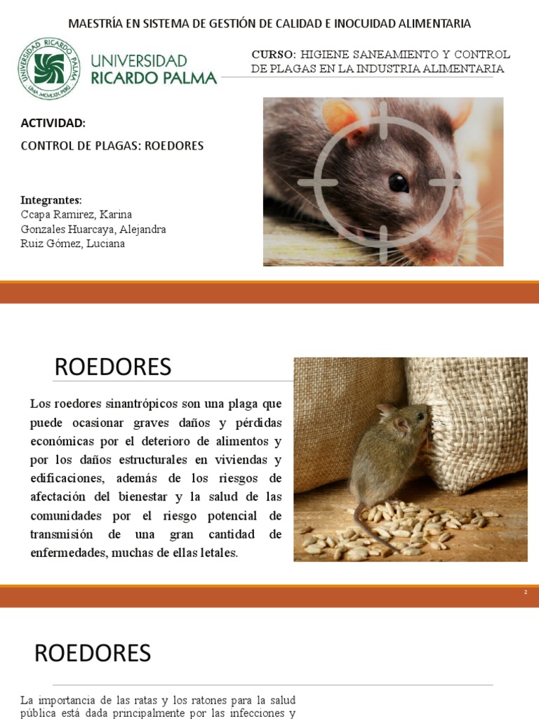Control de Plagas: Roedores en Alimentos | PDF | Roedor | Residuos