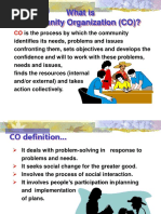 What Is Community Organization (CO) ?