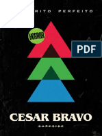 Cesar-Bravo_Preterito Perfeito
