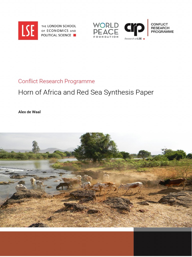 Horn of Africa Conflict Dynamics Analysis | PDF | Somalia | Sudan