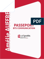 Passeport Grafipolis