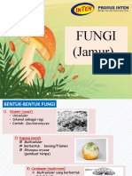 Fungi