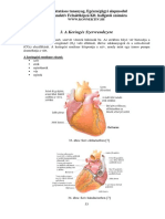 3 A Keringés Szervrendszere