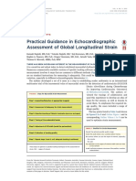 Practical Guidance in Echocardiographic Assessment of Global Longitudinal Strain