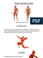 04 Sistema Muscular
