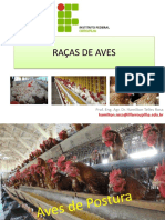Raças de Aves - Prof. Hamilton Telles Rosa - Instituto Fedral Farroupilha