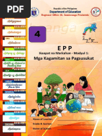 EPP 4 Q4 Aralin 5 Lettering Styles | PDF